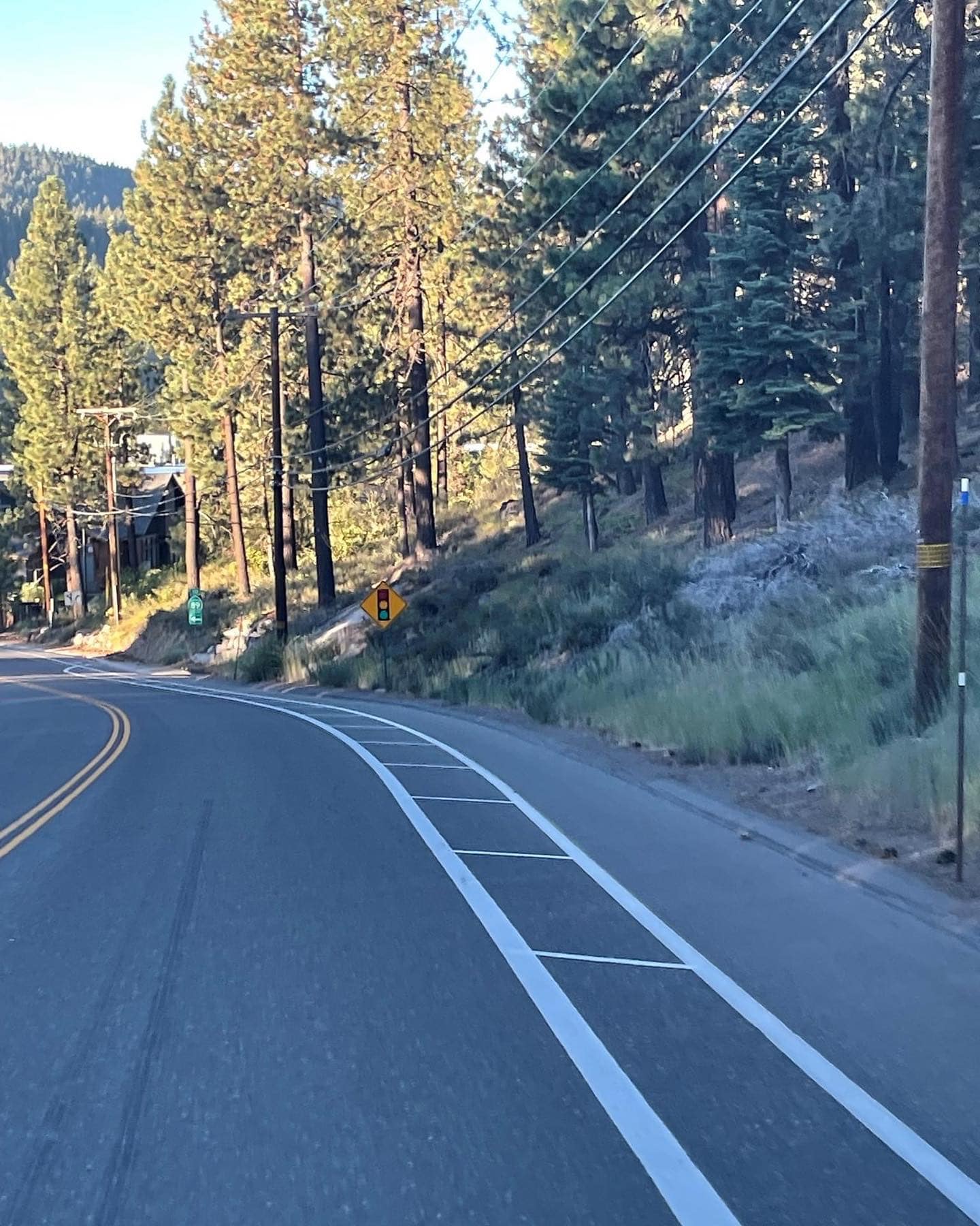 A bike lane on a road with trees behind it. 