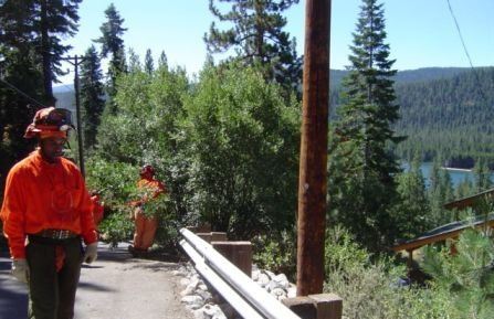 Brushing and Chipping - Before